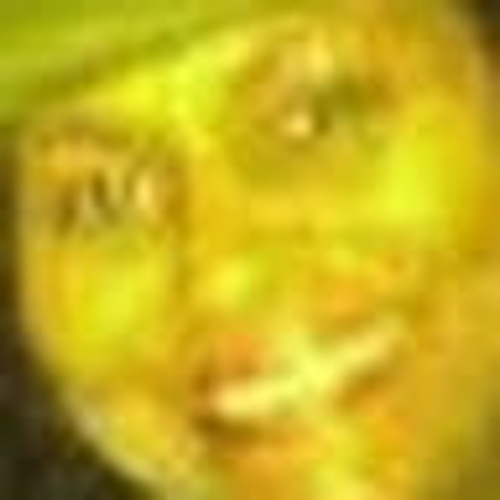 Meet your Posher, Benita